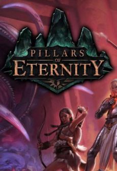 Get Free Pillars of Eternity - Champion Edition