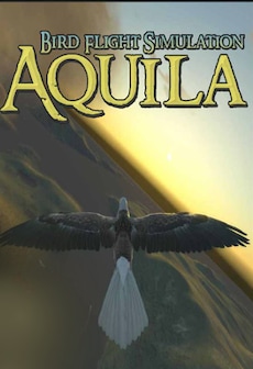 Aquila Bird Flight Simulator